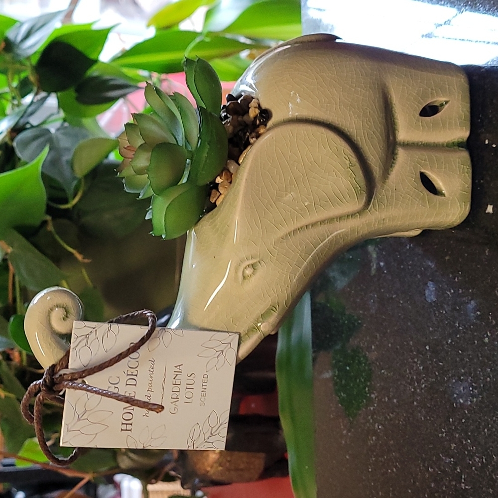 Succulent Elephant Fragrance Holder